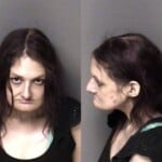 Tammy Kimray Possess Methamphetamine Possess Drug Paraphernalia