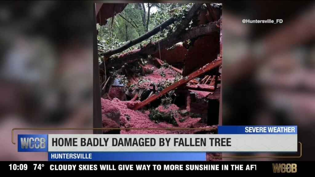 Home Badly Damaged By Fallen Tree