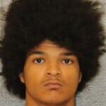 Santana Williams Misdemeanor Larceny Fleeelude Arrest Wmv