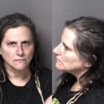 Julia Hayes Cocaine Possess Misd Crime Of Dom Violence Possess Drug Paraphernalia