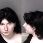 Hailei Smith Assault Simple