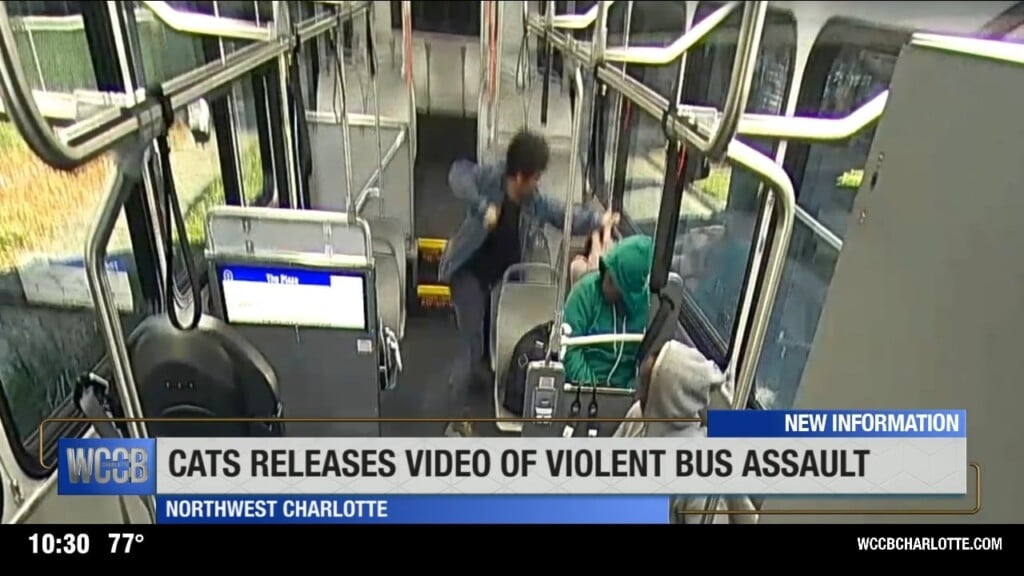 Cats Releases Video Of Violent Bus Assault