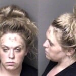 Brianna Dodge Possess Schedule I Controlled Substance Possess Drug Paraphernalia