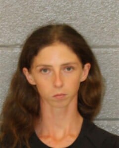 Logan Crouser Violation Of Court Order Trespassing Resisting Officer