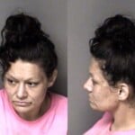 Elizabeth Fite Misd Crime Of Dom Violence