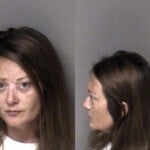 Julie Ellis Driving While Impaired