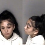 Shayla Yap Misd Crime Of Dom Violence