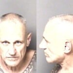 Bryan King Misd Crime Of Dom Violence