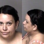 Brenda Yagua Cavalcanti Failure To Appear
