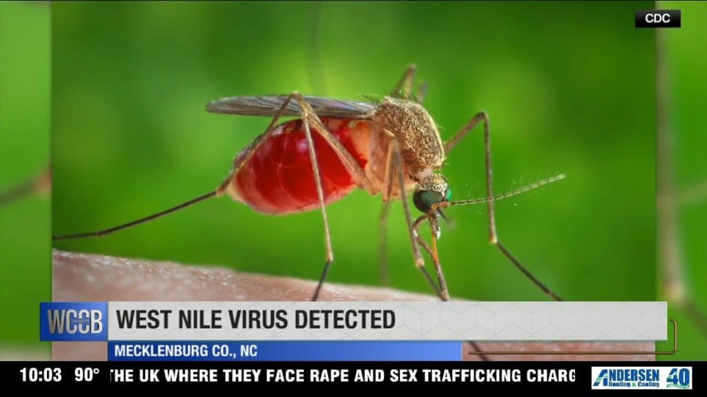 West Nile Virus Detected In Meck Co