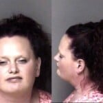 Amy Carroll Larceny Misdemeanor