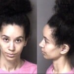 Alyssa Millender Domestice Violence Protection Order