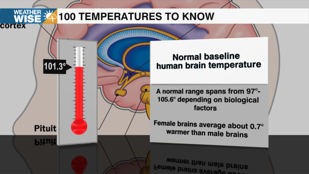 100 Temperatures 2