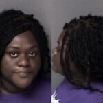 Raven Womic Conspiracy Larceny Breaking And Entering A Motor Vehicle