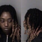 Milashia Goforth Misd Crime Of Dom Violence
