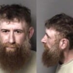 Teddy Patricksimple Assault