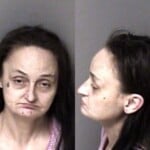 Tammy Pressley Possess Schedule Ii Controlled Substance Possess Drug Paraphernalia