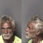 Reginald Miller Larceny Motor Vehicle Conspiracy