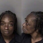 Alinda Gill Habitual Larceny
