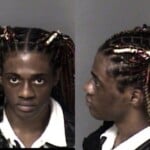 Ritchel Calvaire Possess Methamphetamine Fleeelude Arrest Motor Vehicle Assault Government Official Resist Public Officer Injury Personal Property