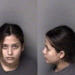 Dayanna Gomezlopez Shopliftingconceal Goods Contributing Delinquency Of Juvenile Immigration