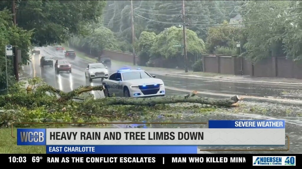 Heavy Rain And Tree Limbs Down