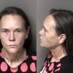 Lisa Smith Probation Violation Other County
