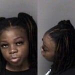 Laquisha Burris Probation Violation Resist Public Officer Reckless Driving Wanton Disregard
