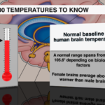 100 Temperatures 2