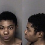 Breiana Mcafee Larceny Misdemeanor