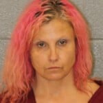 Michelle Wilbanks Larceny Of A Firearm Misdemeanor Larceny