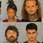 Mecklenburg County Mugshots August 4th