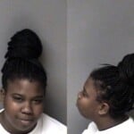 Desire Brice Resist Public Officer Assault Inflict Serious Injury