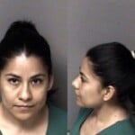 Elizabeth Angelesrodriguez Awdwisi Misd Crime Of Dom Violence Awdw Minor Present Immigration