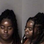 Fredraka Leung Larceny Misdemeanor