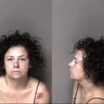 Andrea Johnson Resist Public Officer Seat Belt Passenger Failure To Appear Misdemeanor