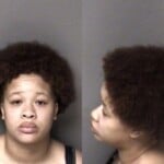 Jasmine Bradley Misd Crime Of Dom Violence