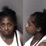 Dzyer Brown Intoxicated And Disruptive Resist Public Officer