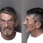 Paul Panter Misd Crime Of Dom Violence