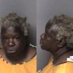 Fannie Cobb Failure To Appear