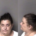Carrie Beard Possess Methamphetamine