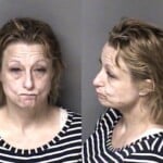 Christy Mcmahan Larceny Misdemeanor Conspiracy Shopliftingconceal Goods Firearm Carry Concealed Conspire Commit Fel Larceny