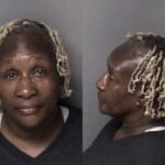 Teresa Sullivan Probation Violation