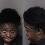 Akiva Hamrick Obtain Property False Pretense Larceny Misdemeanor