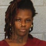 Michelle Newrick Possession Stolen Vehicle Possession Of Meth