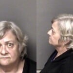Elaine Hood Hitrun Fail Stop Property Damage