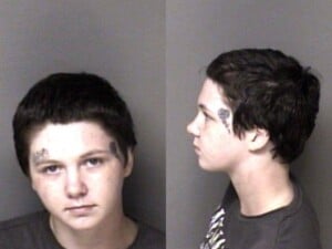Faith Harper Larceny Dog Larceny After Breakenter Larceny Firearm Conspire Commit Fel Larceny Possess Stolen Property Resist Public Officer Possess Drug Paraphernalia
