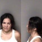 Leann Fairbanks Possess Drug Paraphernalia Resist Public Officer