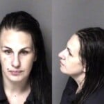 Megan Collins Possess Fentanyl Possess Methamphetamine Possess Drug Paraphernalia