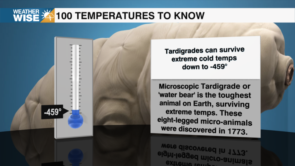 100 Temperatures